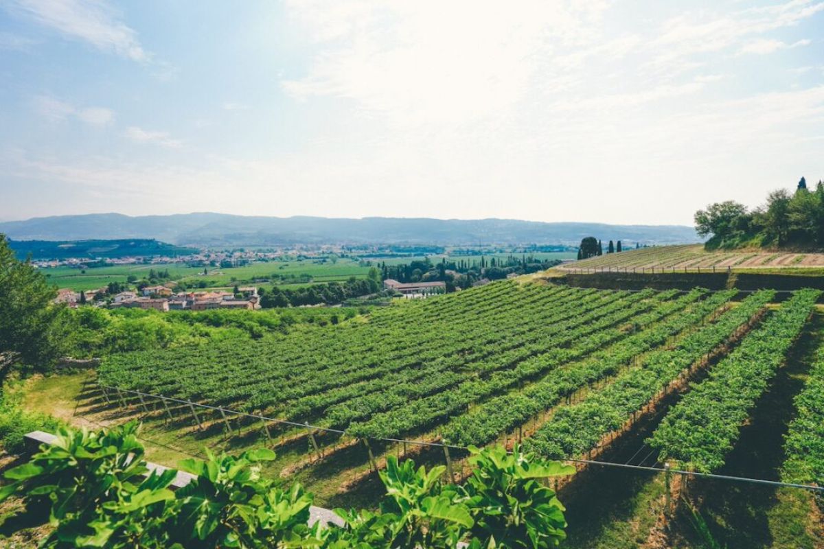 Amarone-Wine-Grand-Tour-in-Valpolicella_header